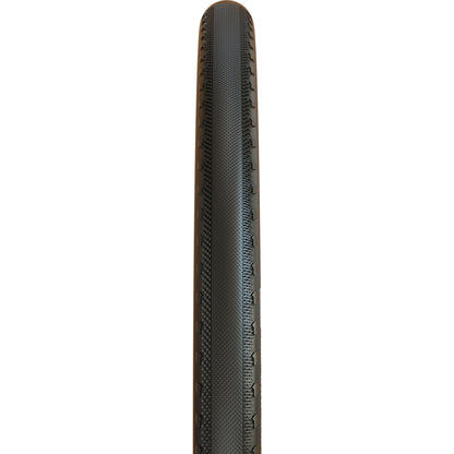 Maxxis Receptor Folding Dual Compound EXO Tubeless Tyre